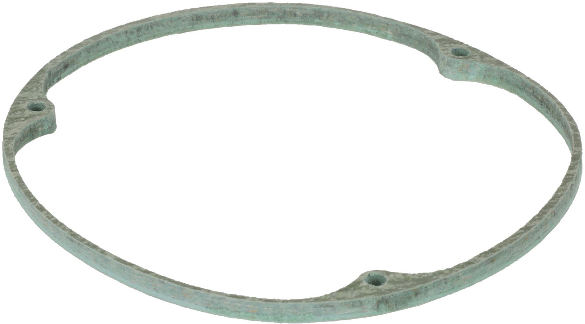 Dichtung (BD-12012358)