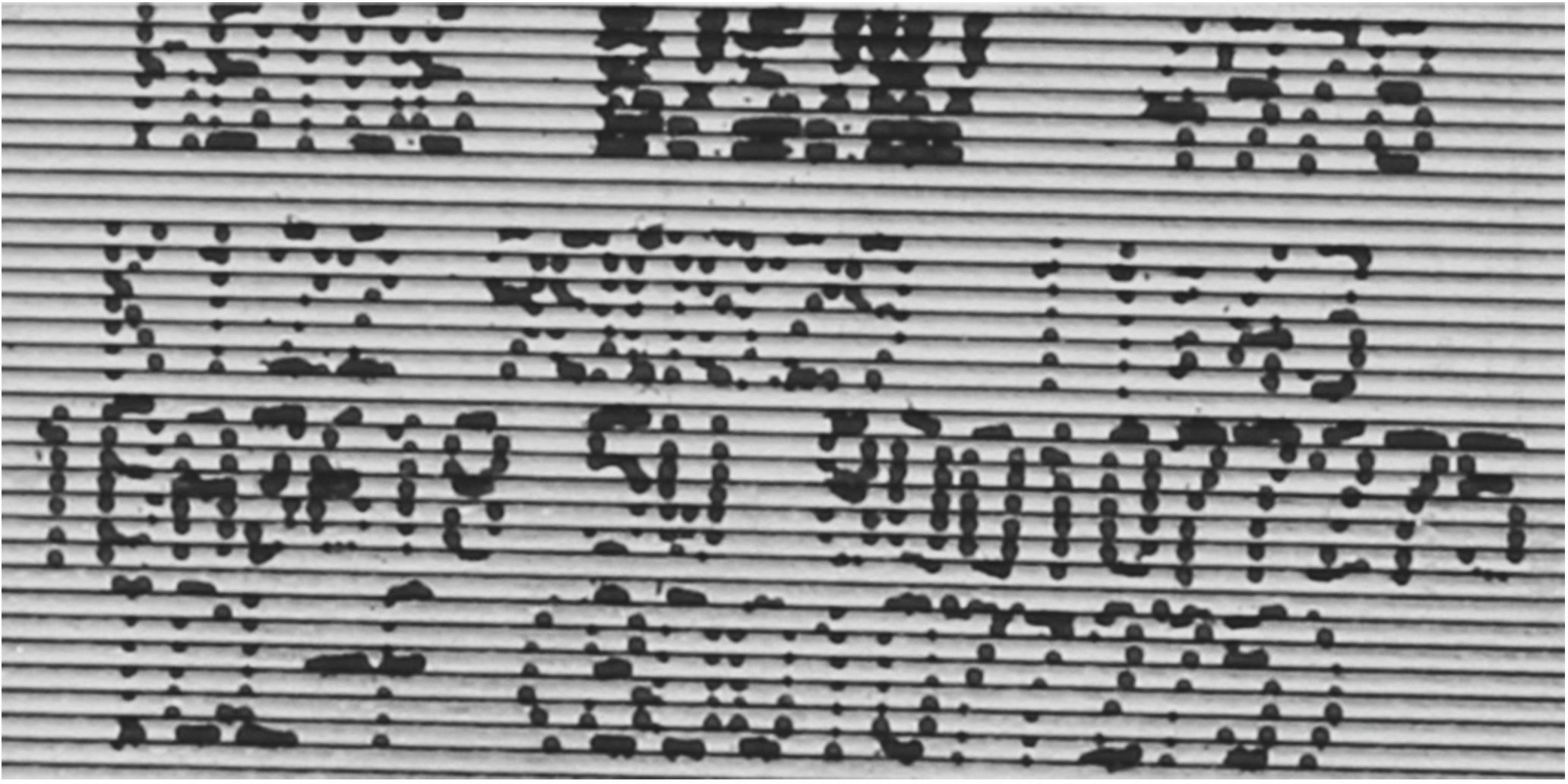 Gebl�semotor Motor 3618-500-88-15 Ba  Gebl�semotor Motor 3618-500-88-15 Ba (BD-12022731)