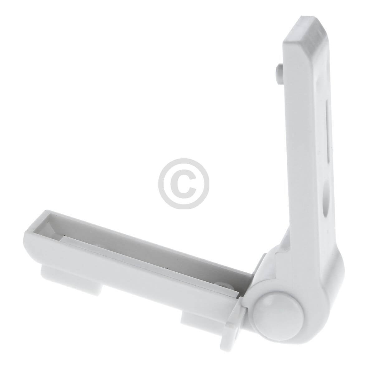 Gefrierfachklappenscharnier DOMETIC  rechts links f�r Absorberk�hlschrank (EA-241212500)