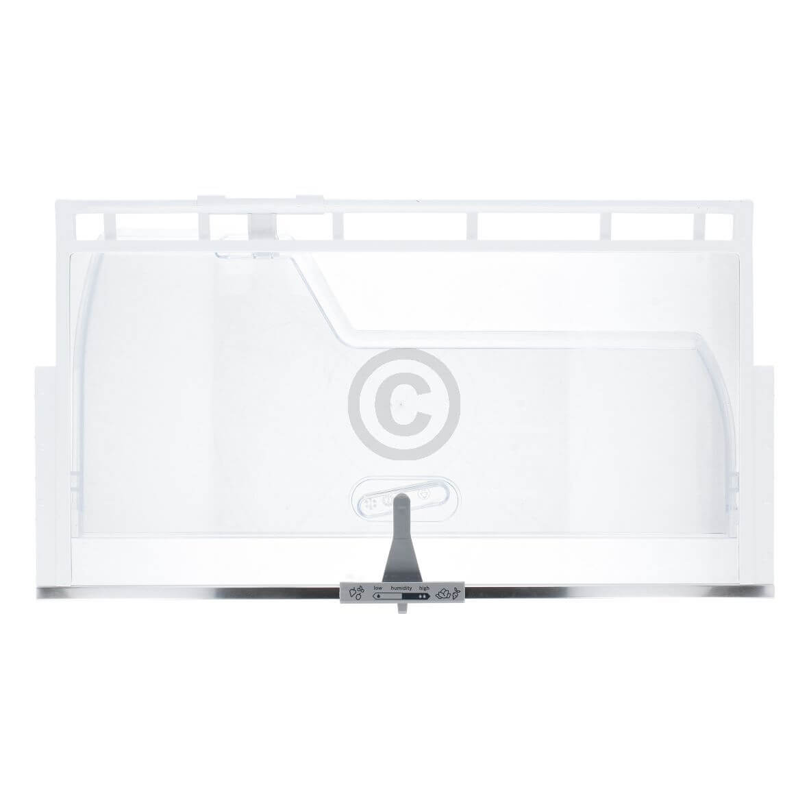 Glasplatte (BD-00749584)